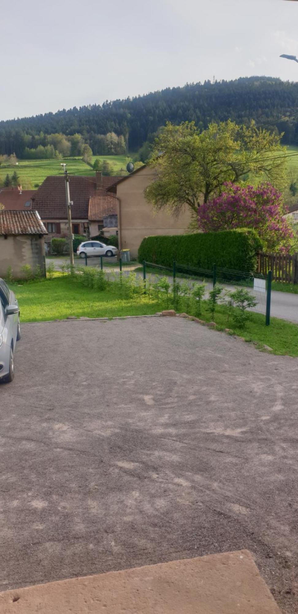 La Fermette Vosgienne De La Goutte Lägenhet Steige Exteriör bild
