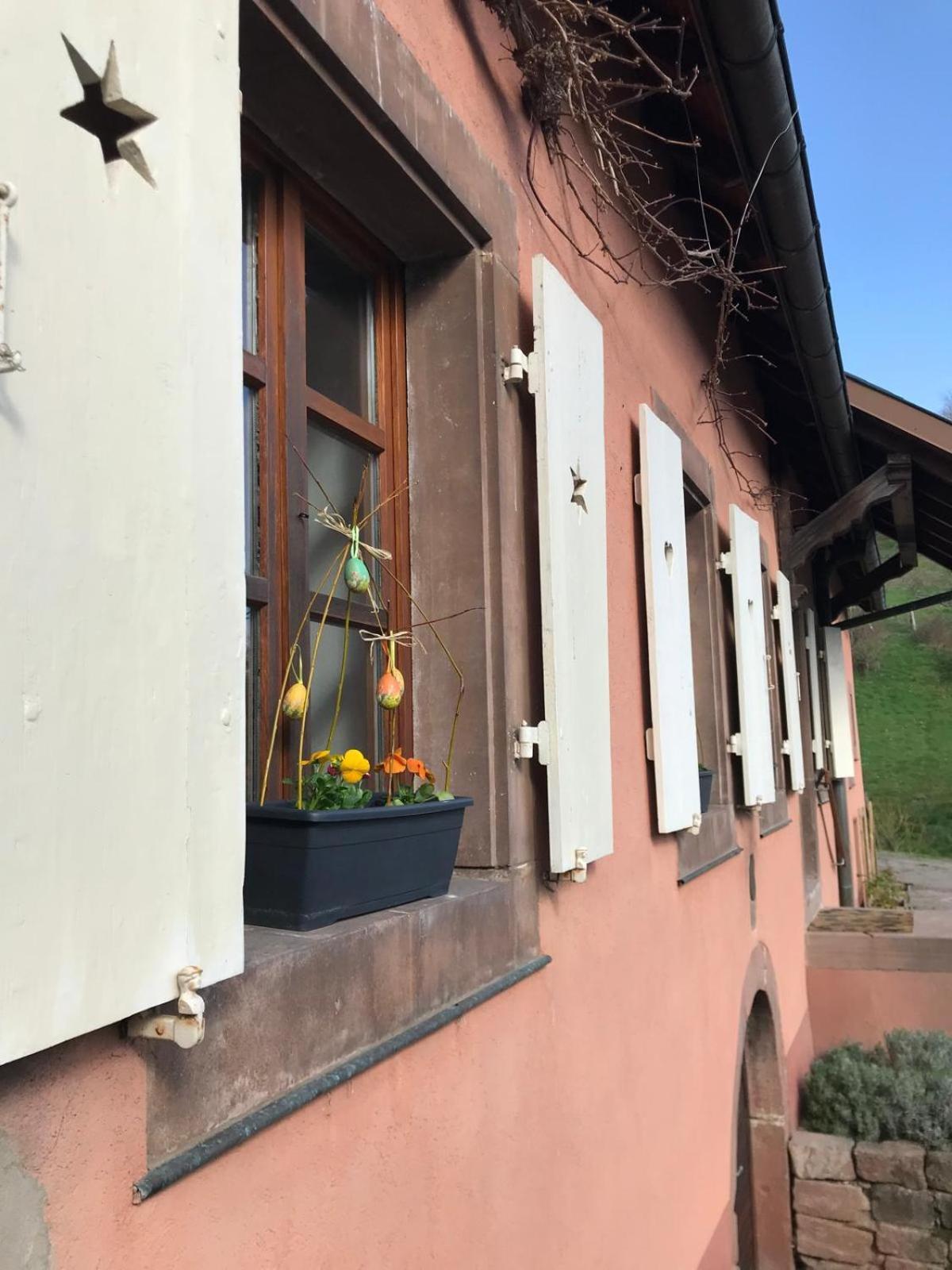 La Fermette Vosgienne De La Goutte Lägenhet Steige Exteriör bild