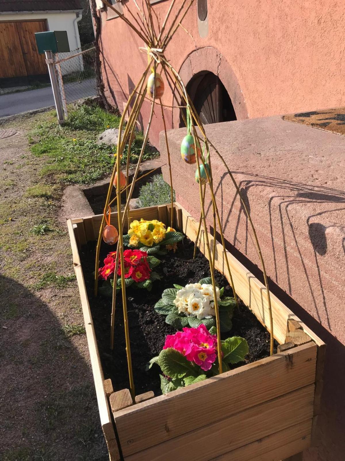 La Fermette Vosgienne De La Goutte Lägenhet Steige Exteriör bild